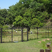 兵庫県立　コウノトリの郷公園